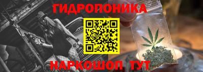 сатива Аргун