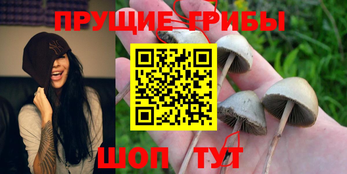 Галлюциногенные грибы ЛСД  цена   Верхняя Салда  Вход с VPN 